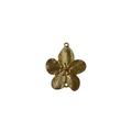 Charm - Flor