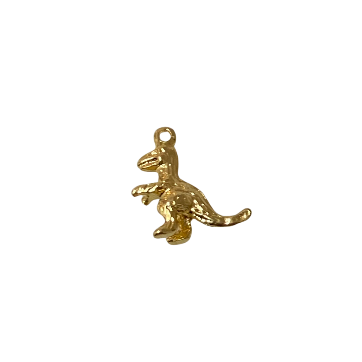 Charm - Dinosaurio