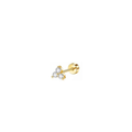 Labret -  Tresillo Golden