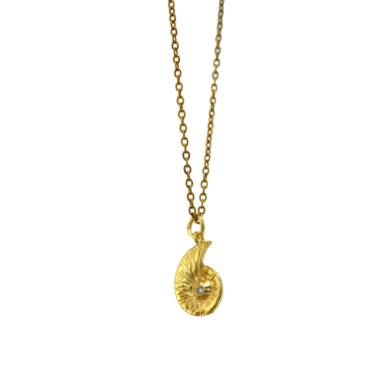 Collar - Nautilus