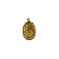 Charm - Escarabajo Placa