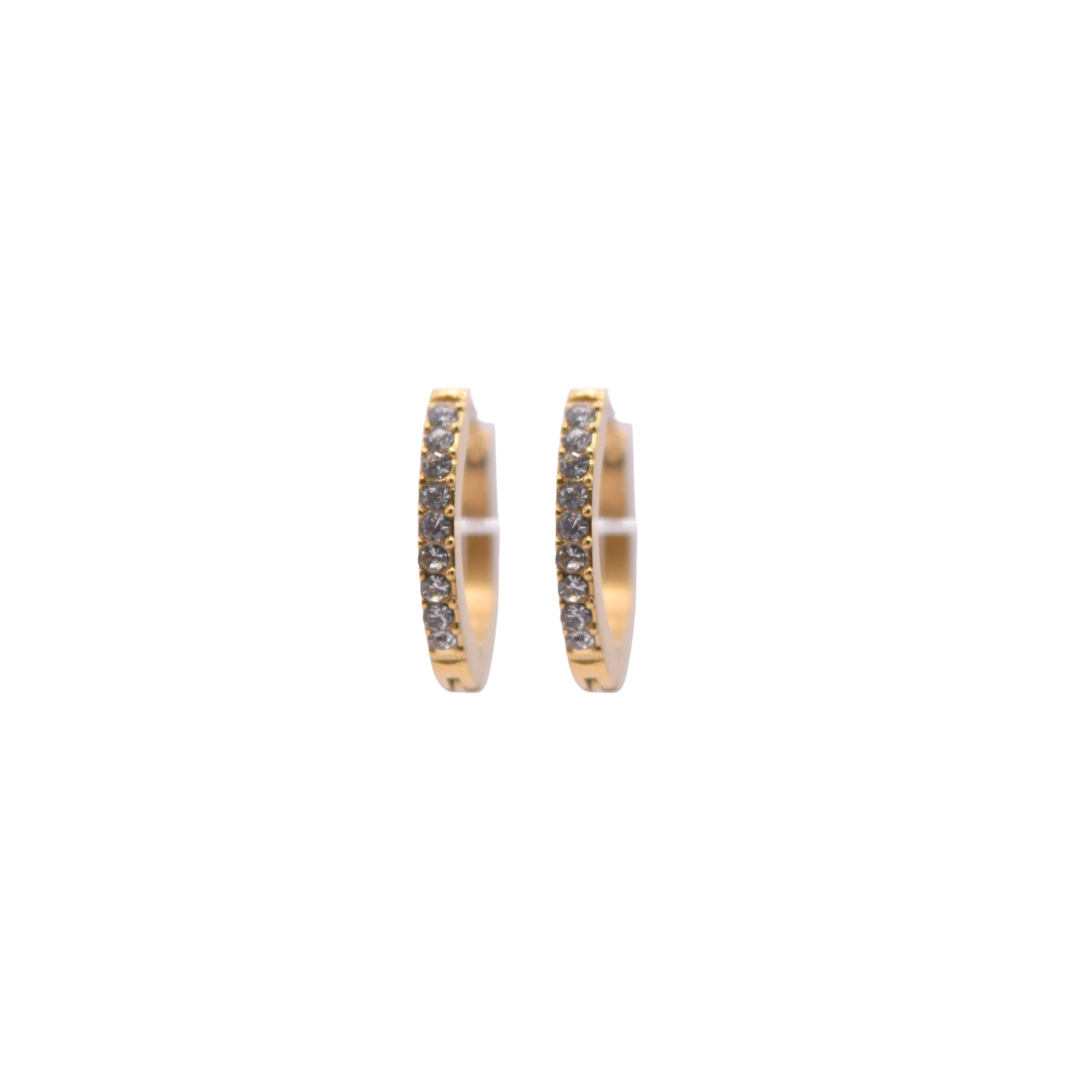 Hoops - Zirconia diario
