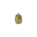 Charm - Placa Rosa