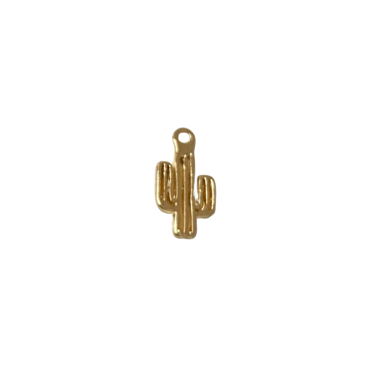 Charm - Cactus