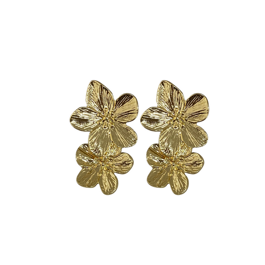 Aretes - Florencia