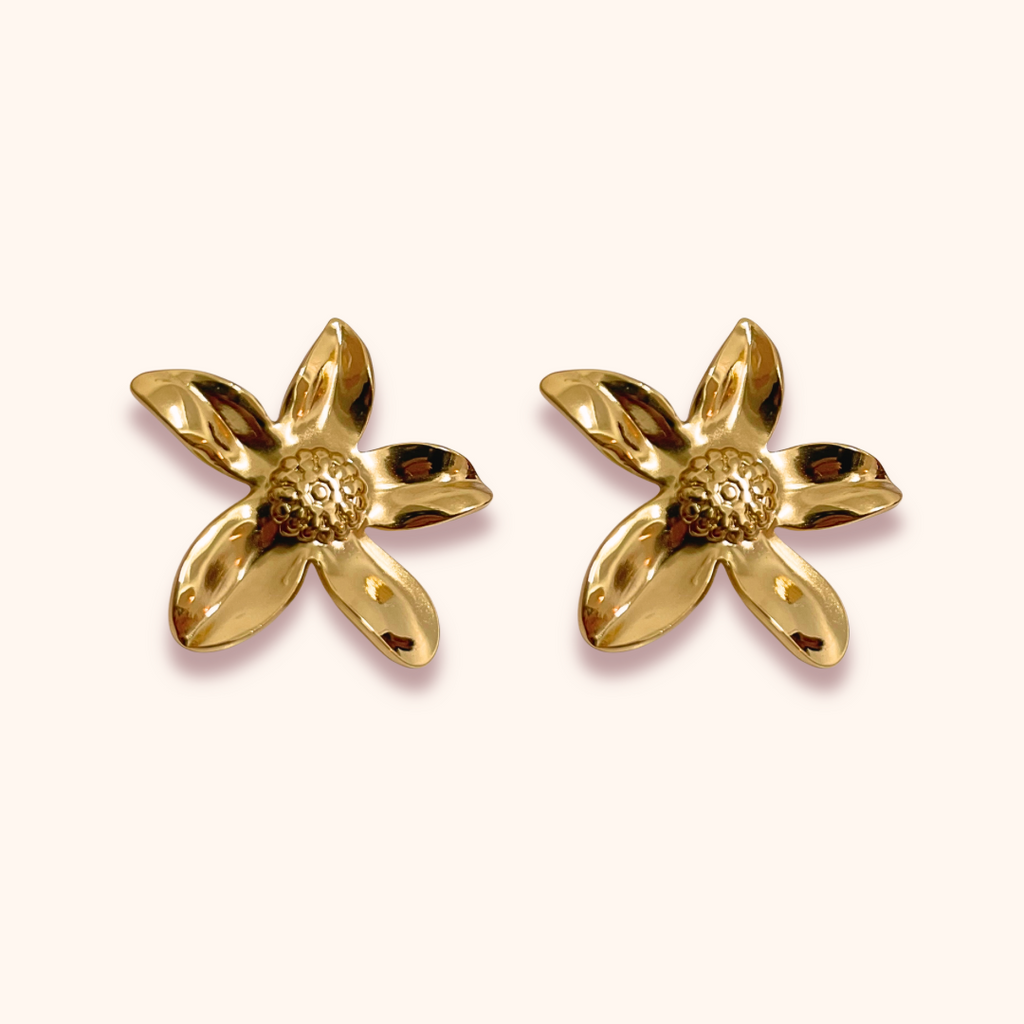 Aretes - Rapunzel