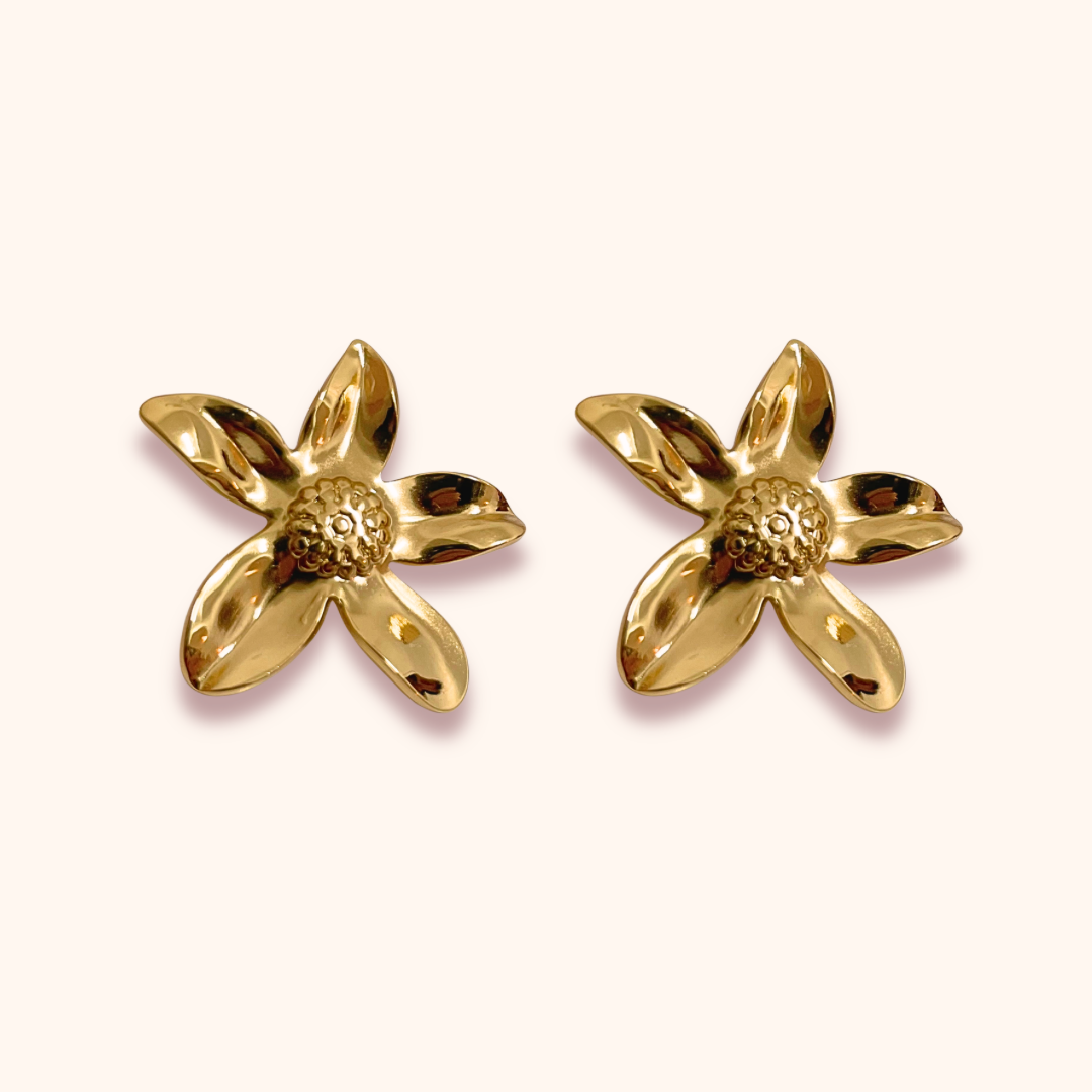 Aretes - Rapunzel