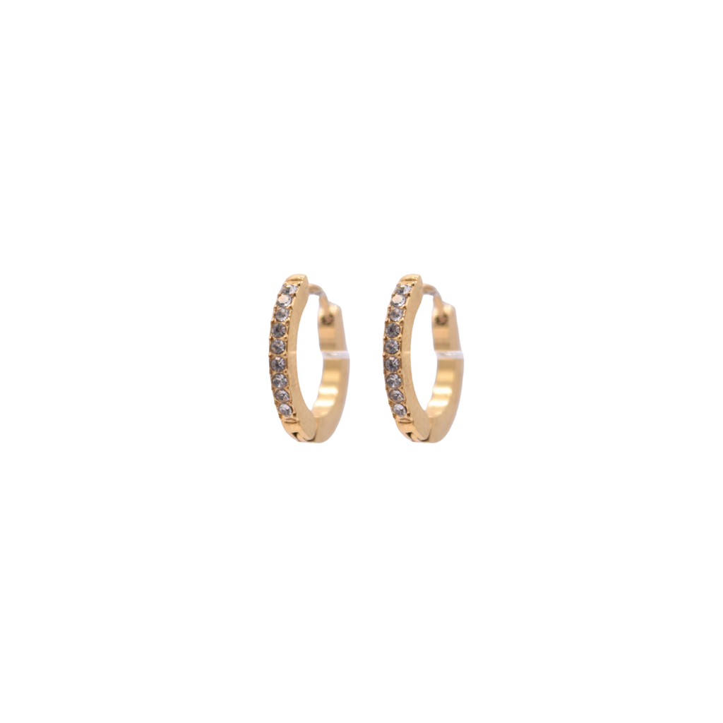 Hoops - Zirconia diario