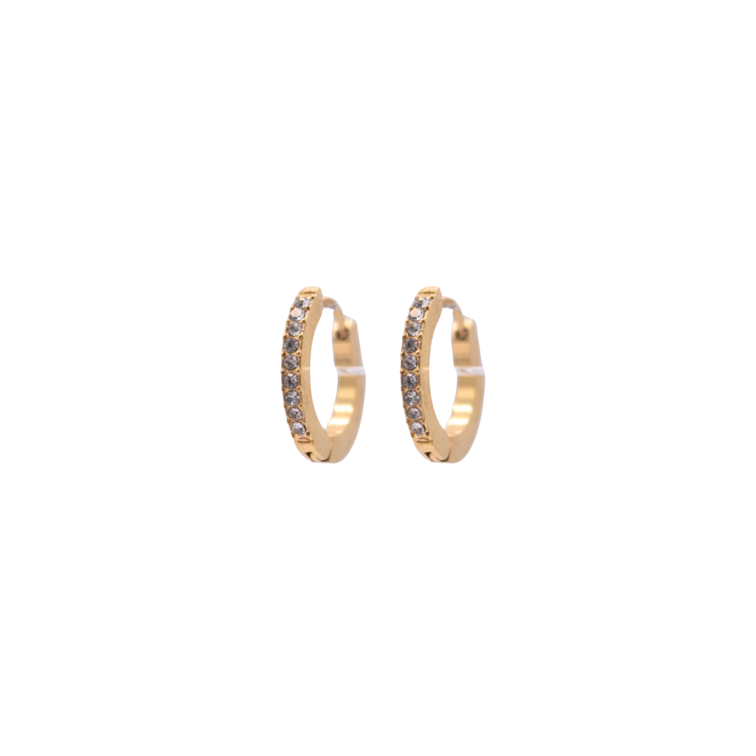 Hoops - Zirconia diario