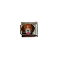 Charm italiano - Beagle